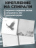 Записная книжка 158х158мм 48л клетка "Птица в тумане", на спирале, Проф-Пресс/48-6902 (20)