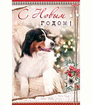 Открытка А5 С Новым Годом! 5-09-0284