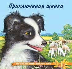 Книжка "Приключения щенка" И.Гурин. Формат: 21х21 см 16стр, Фламинго/25748