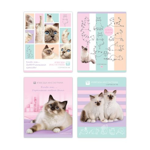 Тетрадь общая А5 скоба 96л. клетка "Звезда Инстаграма" (ассорти) (5/50)