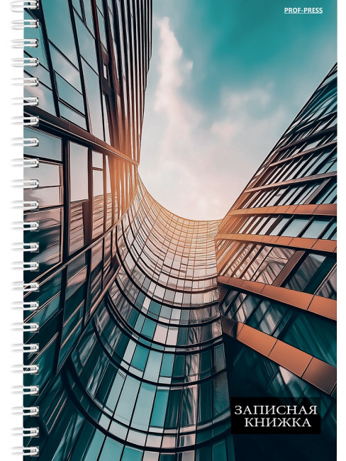 Записная книжка А5 100л клетка "Городская архитектура - 3", 7БЦ, на гребне, Проф-Пресс/100-7107 (16)