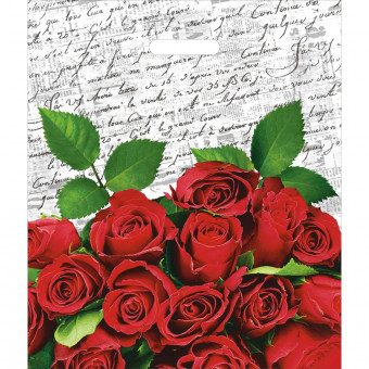 Пакет ПВД (40*47) 45 мкм "Дневник" (50)