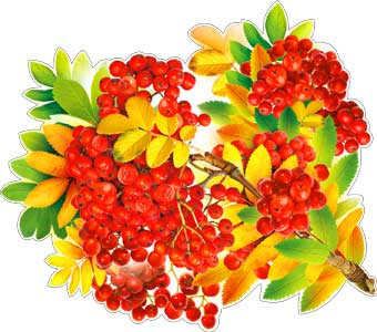 Плакат "Ветка рябины" р33-61 (10)