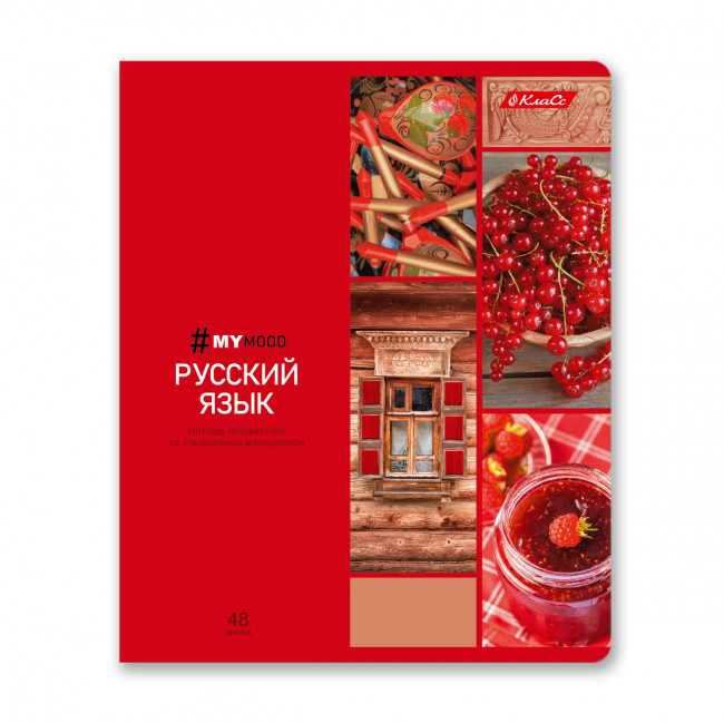 Тетрадь A5+ 48л, линия, скоба, "Русский язык", Светоч (10)