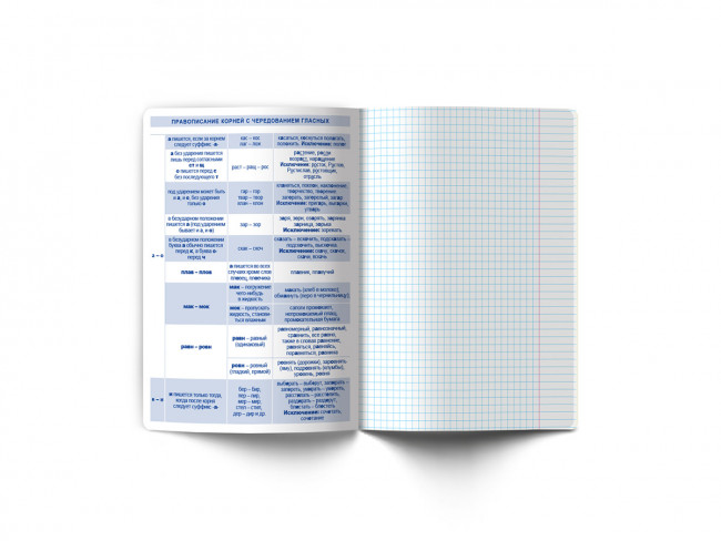 Тетрадь A5+ 48л, линия, скоба, "Русский язык", Светоч (10)