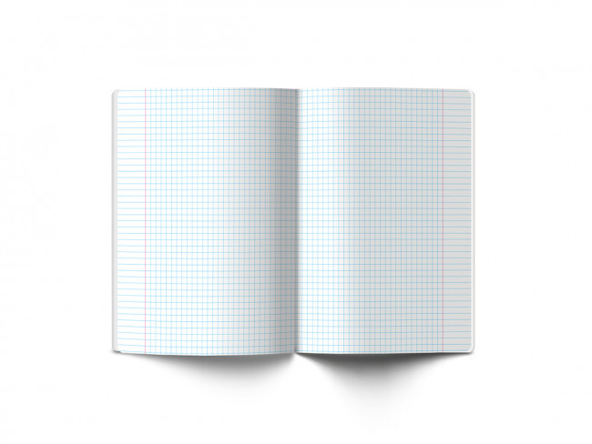 Тетрадь A5+ 48л, линия, скоба, "Русский язык", Светоч (10)