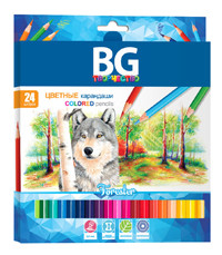 Карандаши цветные «FORESTER», 24 цв, шестигранные, 2.8 мм (БиДжи) (6)