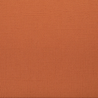 Бумага 30.5x30.5 см 216 г/кв.м для скрапбукинга "Корица" рыже-коричневый, 10л, Mr.Painter /PST №54 Бумага 30.5x30.5 см 216 г/кв.м для скрапбукинга "Корица" рыже-коричневый, 10л, Mr.Painter /PST №54