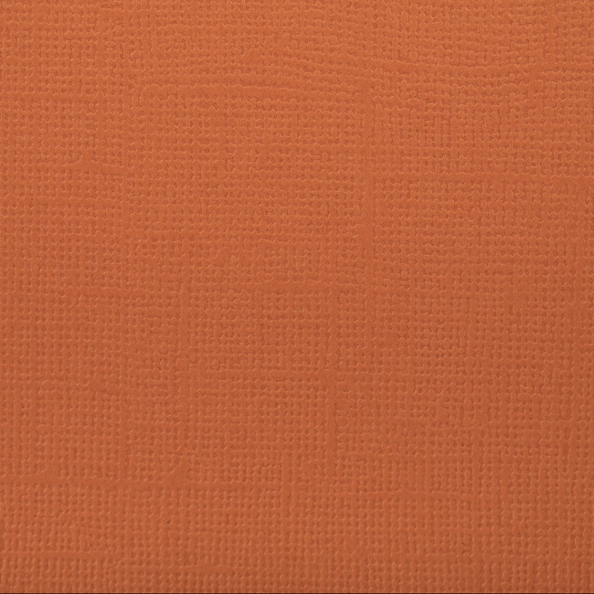 Бумага 30.5x30.5 см 216 г/кв.м для скрапбукинга "Корица" рыже-коричневый, 10л, Mr.Painter /PST №54 Бумага 30.5x30.5 см 216 г/кв.м для скрапбукинга "Корица" рыже-коричневый, 10л, Mr.Painter /PST №54