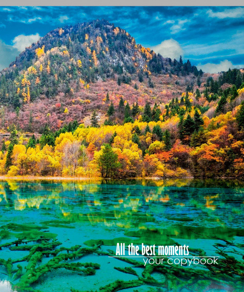 Тетрадь КЛЕТКА 48 л. ПРИРОДА цветная мелованная обложка, (10/80)