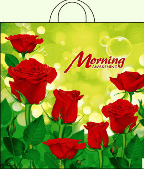 Пакет ПНД петлевой (38*42) 40 мкм "Утро" (25)