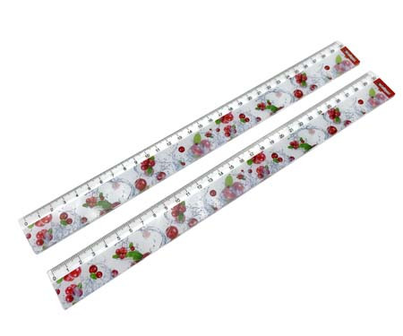 Линейка 30 см. пластиковая INTELLIGENT CD-127-4 "Брусника" с рисунком (12/48/5000)