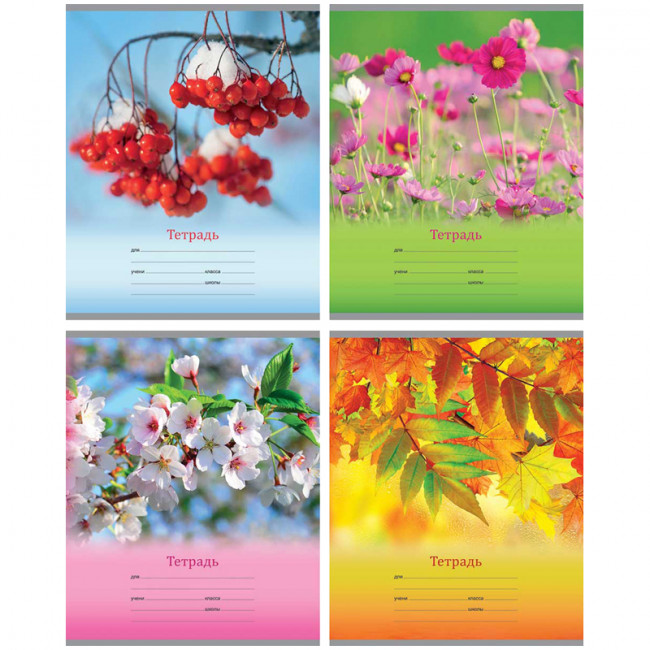 Тетрадь 24л. линия "Времена года" (БиДжи) (25/150) Тетрадь 24л. линия "Времена года" (БиДжи) (25/150)