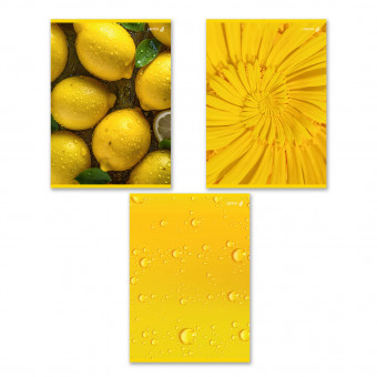 Тетрадь А4 96 клетка "Солнечная" скрепка, Светоч/Т157_01356 (6) Тетрадь А4 96 клетка "Солнечная" скрепка, Светоч/Т157_01356 (6)