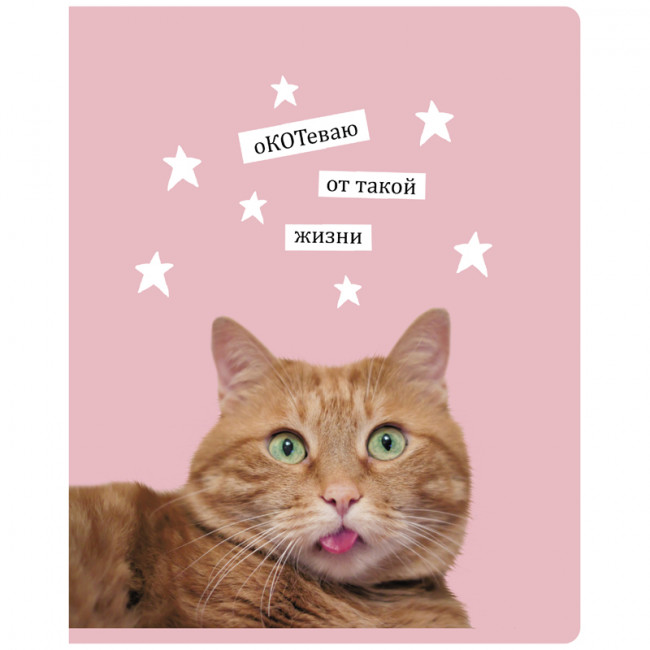 Тетрадь 60 клетка "Я не определилась" скрепка, BG (4/48) Тетрадь 60 клетка "Я не определилась" скрепка, BG (4/48)