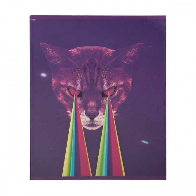 Тетрадь А5 48л клетка скоба "Кошки/собаки №1" "Светоч" (10)