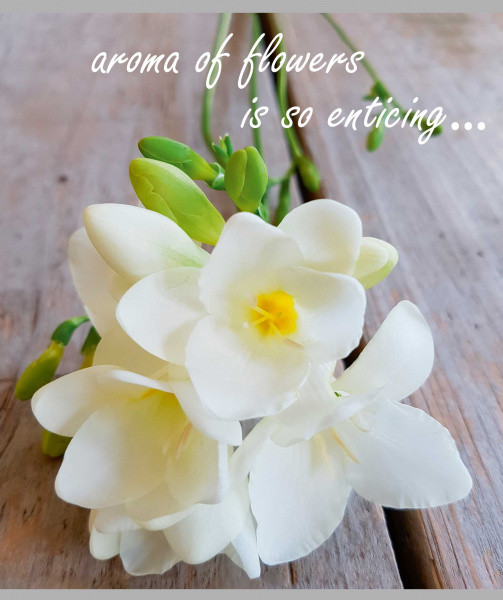 Тетрадь КЛЕТКА 48 л. ЦВЕТЫ цветная мелованная обложка, (10/80)