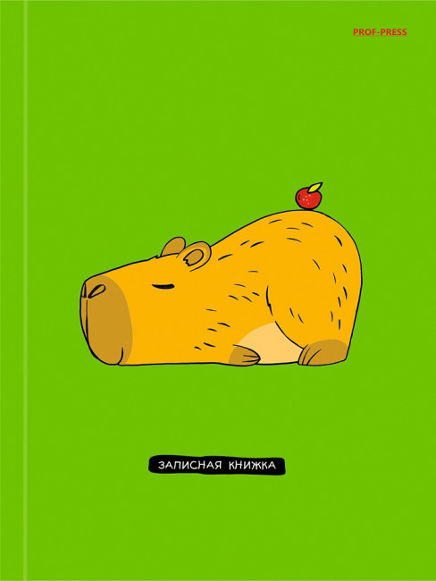 Записная книжка А5 80л клетка "Очаровательная капибара", склейка, Проф-Пресс/48-3664 (20)