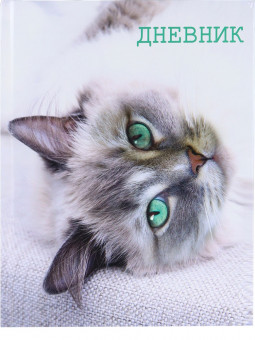 Дневник А5 48л 5-11 класс "Кошка", склейка, Проф-Пресс/2967475 (40) Дневник А5 48л 5-11 класс "Кошка", склейка, Проф-Пресс/2967475 (40)