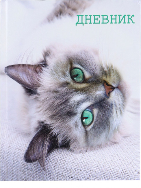 Дневник А5 48л 5-11 класс "Кошка", склейка, Проф-Пресс/2967475 (40)