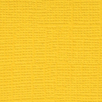 Бумага 30.5x30.5 см 216 г/кв.м для скрапбукинга "Кукурузный початок" ярко-жёлтый, 10л, Mr.Painter /PST №37 Бумага 30.5x30.5 см 216 г/кв.м для скрапбукинга "Кукурузный початок" ярко-жёлтый, 10л, Mr.Painter /PST №37