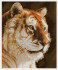 Алмазная мозаика 40*50 на подрамнике "Тигриная стать", полная выкладка, ALM053