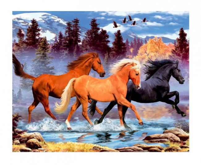 Картина для раскрашивания по номерам по дереву 40х50 см БЕГУЩИЕ ЛОШАДИ 1, 1 дизайн, картонная упаковка Картина для раскрашивания по номерам по дереву 40х50 см БЕГУЩИЕ ЛОШАДИ 1, 1 дизайн, картонная упаковка