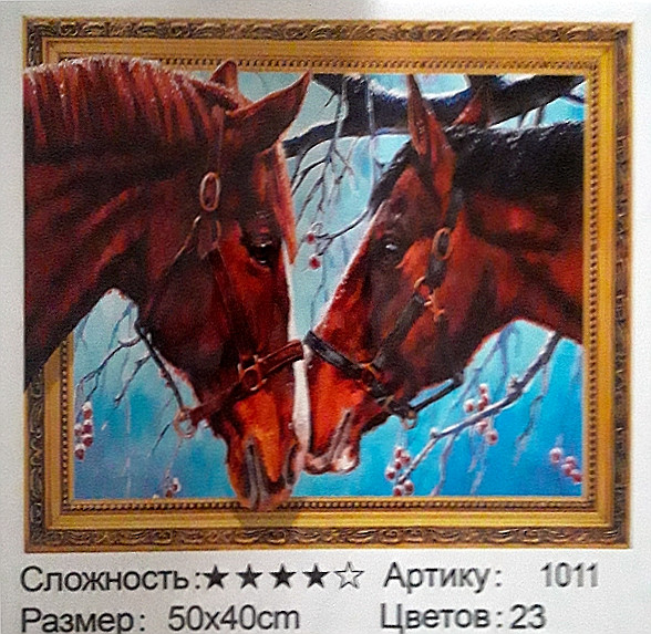 Алмазная мозаика: 50*40 см, сложность 4*; 5D эффект объёмного рисунка; прис.имитация рамы; состав: акрил/ круглые стразы, стилус, лоток, МС-5403-1011