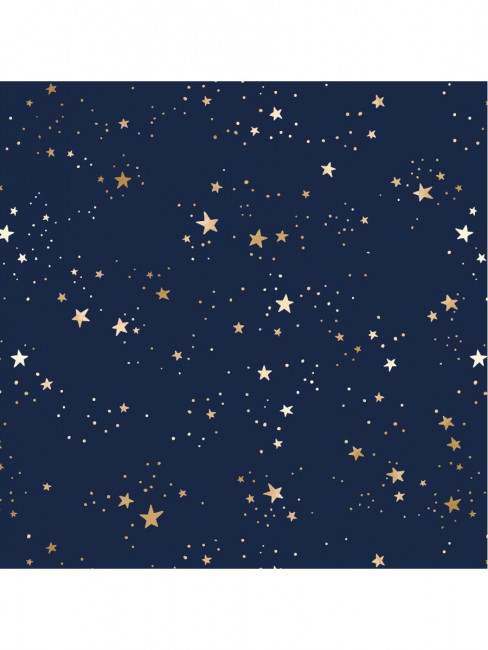 Упаковочная бумага 70*100см "Звездная ночь", 10л, MILAND/УБ-4457 Упаковочная бумага 70*100см "Звездная ночь", 10л, MILAND/УБ-4457