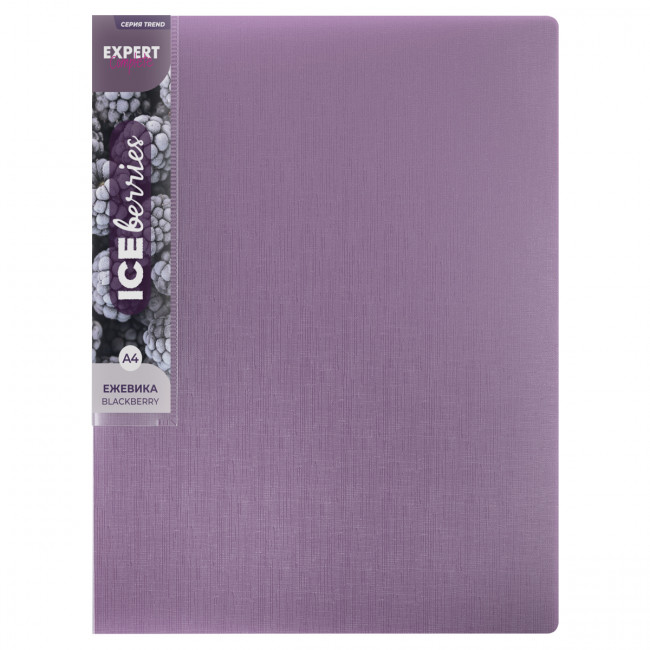 Папка А4 700 мкр 20мм, с металлическим прижимом, ежевика, лён, Trend ICEberries Expert Complete/EC210720072