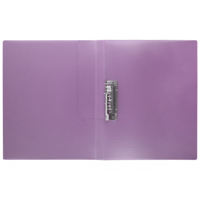 Папка А4 700 мкр 20мм, с металлическим прижимом, ежевика, лён, Trend ICEberries Expert Complete/EC210720072