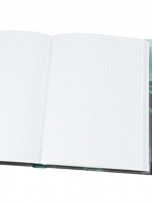 Записная книжка А5 160л клетка "Бескрайние просторы - 1", 7БЦ, сшивка, Проф-Пресс/160-9421 (12)