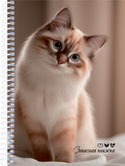 Записная книжка А5, 80л. МИЛЫЕ КОТЫ - 7 (ЗК80-3013) на спирали, обл. мелов. картон