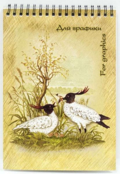 Блокнот А5 20л для графики, БГ/А5 (20)