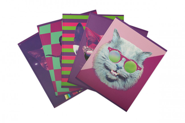 Тетрадь А5 48л клетка скоба "Кошки/собаки №3" "Светоч" (10) Тетрадь А5 48л клетка скоба "Кошки/собаки №3" "Светоч" (10)