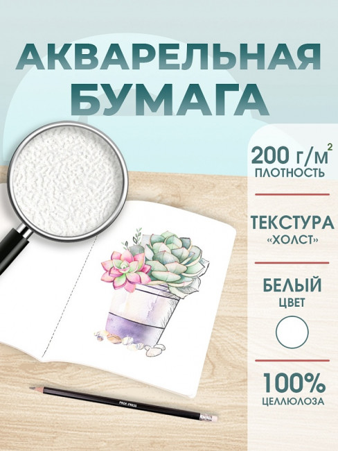 Скетчбук А4 20л "Выступление балерин", Проф-Пресс/20-0310