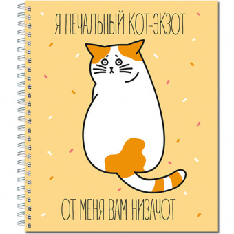 Тетрадь общ.,170х203, 48л., гребень, "Котаны", 4+0+уф, 4 диз (30) Тетрадь общ.,170х203, 48л., гребень, "Котаны", 4+0+уф, 4 диз (30)