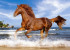 Картина для раскрашивания по номерам по дереву 40х50 см КОНЬ, 1 дизайн, картонная упаковка