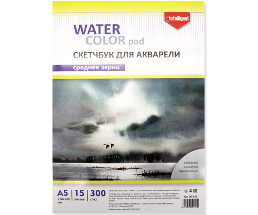 Скетчбук А5 15л. DD-221 INTELLIGENT Акварельная бумага, среднезернистая, 300гр/м, 210х148мм, склейка, в ПВХ-пакете (1/120) Скетчбук А5 15л. DD-221 INTELLIGENT Акварельная бумага, среднезернистая, 300гр/м, 210х148мм, склейка, в ПВХ-пакете (1/120)
