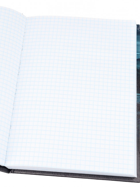 Записная книжка А5 160л клетка "Костёр и горы", 7БЦ, сшивка, Проф-Пресс/160-5513 (12)