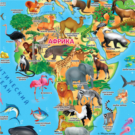 Карта настенная "Наша планета. Животный и растительный мир" 124х80 см, Геодом