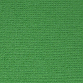 Бумага 30.5x30.5 см 216 г/кв.м для скрапбукинга "Лесной папоротник" т.зелёный, 10л, Mr.Painter /PST №26 Бумага 30.5x30.5 см 216 г/кв.м для скрапбукинга "Лесной папоротник" т.зелёный, 10л, Mr.Painter /PST №26