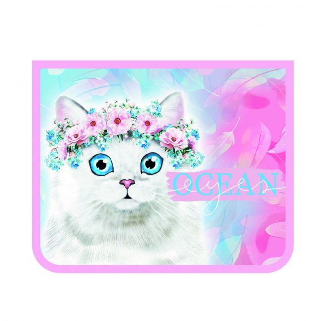 Папка для тетрадей А5 молния сверху 230/190/50 "Голубоглазый котик" 2021г, Пчёлка/ПМ-А5-29 (50)