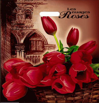 Пакет ПВД (44*44) 70 мкм "Голландия"