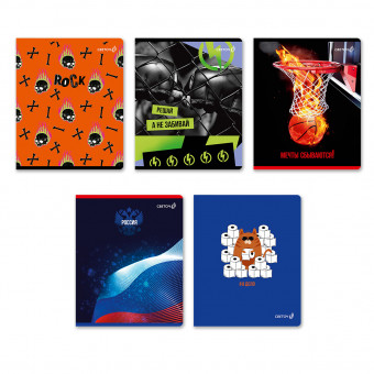 Тетрадь 48 клетка "Я в деле!" скрепка, Светоч/48Т12_00996 (10/60)