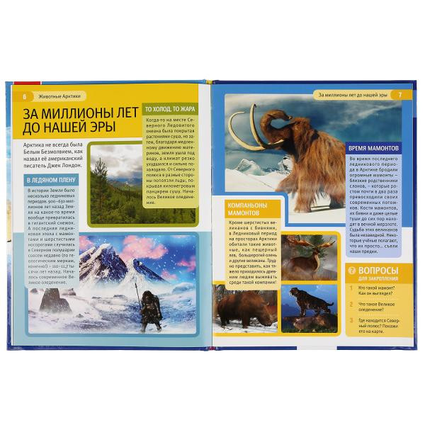 Энциклопедия с развивающими заданиями «Животные Арктики». Формат: 197 х 255мм 48стр, Умка