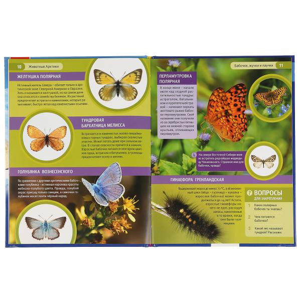 Энциклопедия с развивающими заданиями «Животные Арктики». Формат: 197 х 255мм 48стр, Умка