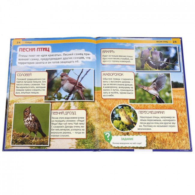 Энциклопедия с развивающими заданиями «Птицы». Формат: 197 х 255мм 48стр, Умка Энциклопедия с развивающими заданиями «Птицы». Формат: 197 х 255мм 48стр, Умка