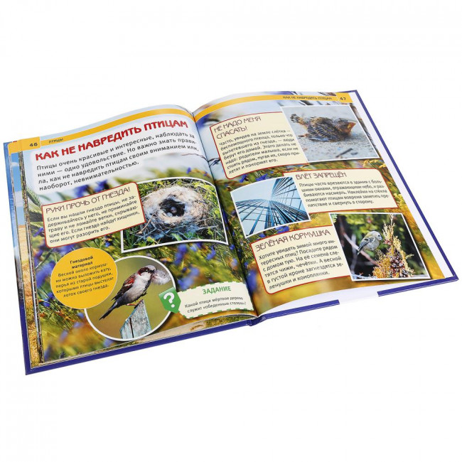 Энциклопедия с развивающими заданиями «Птицы». Формат: 197 х 255мм 48стр, Умка Энциклопедия с развивающими заданиями «Птицы». Формат: 197 х 255мм 48стр, Умка
