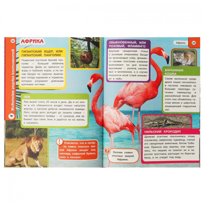 Энциклопедия с развивающими заданиями «Животные разных континентов». Формат: 165х215мм 96стр, Умка (серия Хочу всё знать)